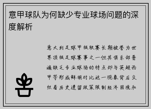 意甲球队为何缺少专业球场问题的深度解析