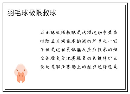 羽毛球极限救球